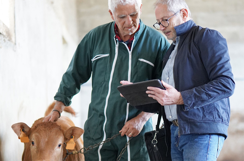 Viehzüchter und Tierarzt mit der Healthy Climate Monitor App